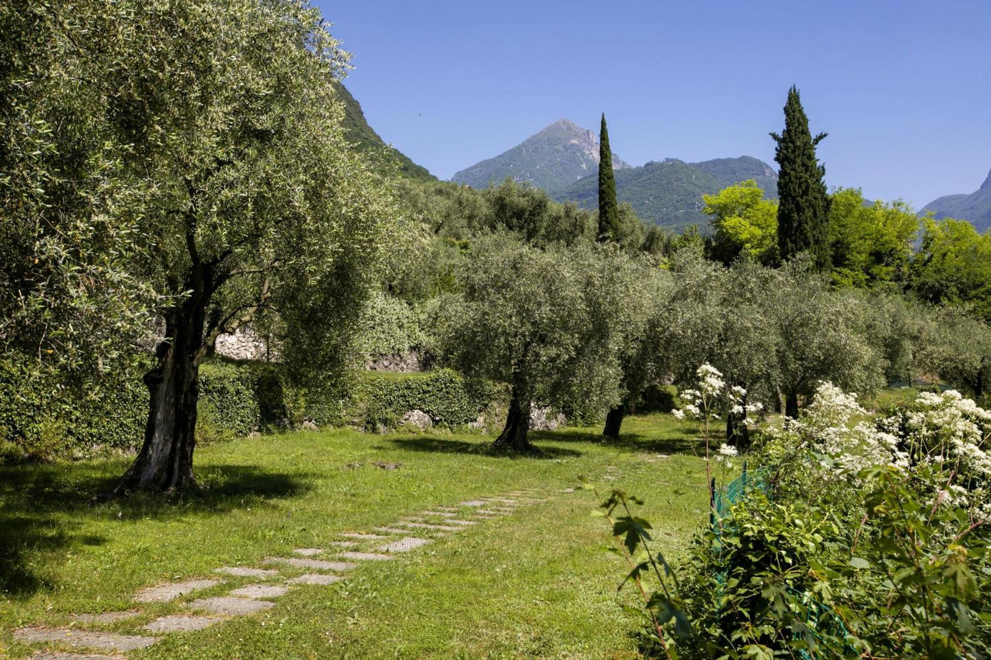 Lake View Dom-Us Apartment - Happy Rentals Riva del Garda Eksteriør bilde